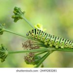 一步到位,教你如何安全下载各类精彩娱乐游戏 1q13ebf5yr