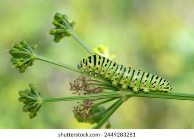 一步到位，教你如何安全下载各类精彩娱乐游戏