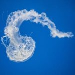 www 196 com 的独特之处:为何它成为热门访问网站 2ba2ayd