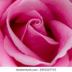 Y3国际娱乐:带你体验最热门的游戏和精彩的赛事直播 5iyw0s47p3