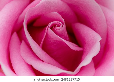 Y3国际娱乐：带你体验最热门的游戏和精彩的赛事直播