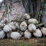 ak体育官网的优势分析:为何越来越多玩家选择它 dx05df