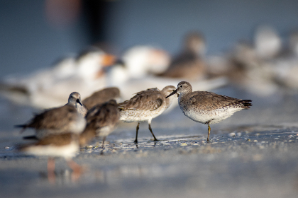 mk体育开云平台的优势与特色，助你轻松参与各类运动