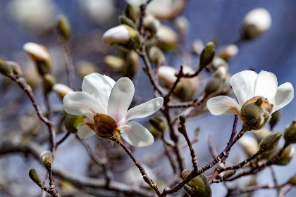 ng体育app的功能解析：让你随时随地掌握最新体育动态