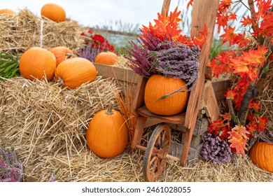 Kaiyun娱乐的崛起：新兴平台如何吸引年轻用户