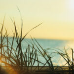 2222期开奖结果震撼揭晓,大奖花落谁家? g590i0ez4a