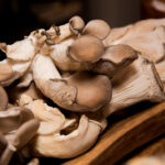 22241期最新开奖结果查询与详细分析 l9n04r11d