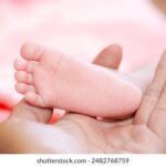 01888开奖结果最新公布,速来查看中奖详情 pkihm6gdy