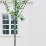 031期开奖结果震撼揭晓,幸运号码花落谁家? uzla8