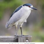 223319期最新开奖结果查询与中奖号码公布 yirt43x0x